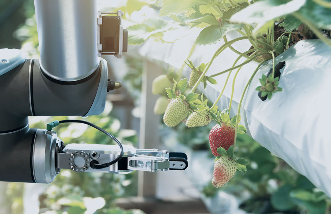 Emerging-Industries_Agriculture