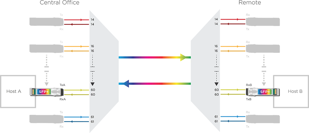 Optical fiber with DWDM Channels